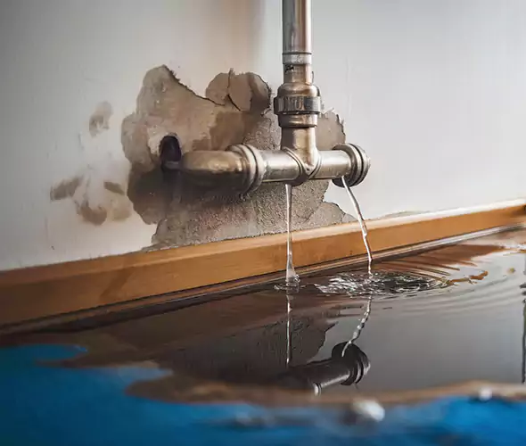 Professional Water Damage Restoration Experts in Perris, CA — Fast, Reliable & Certified