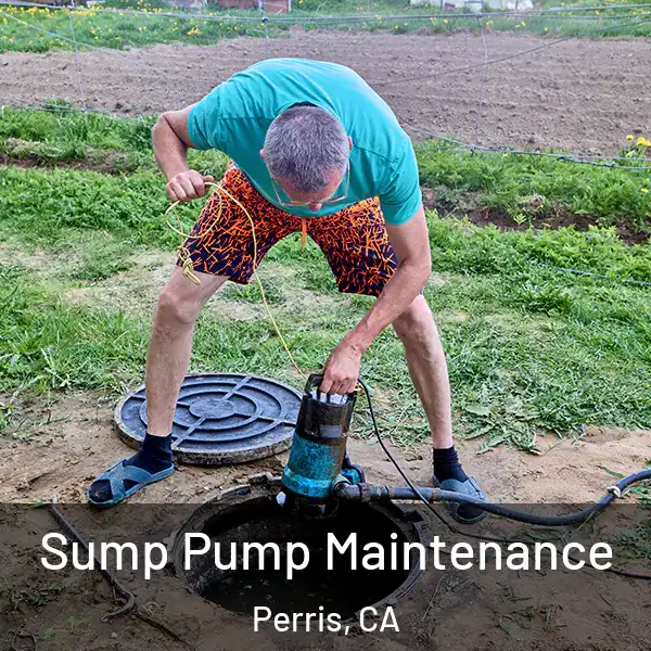  Sump Pump Maintenance Perris, CA