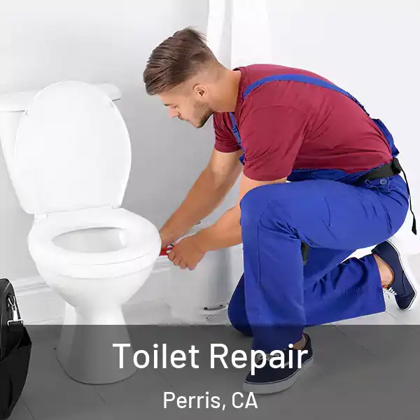 Toilet Repair Perris, CA